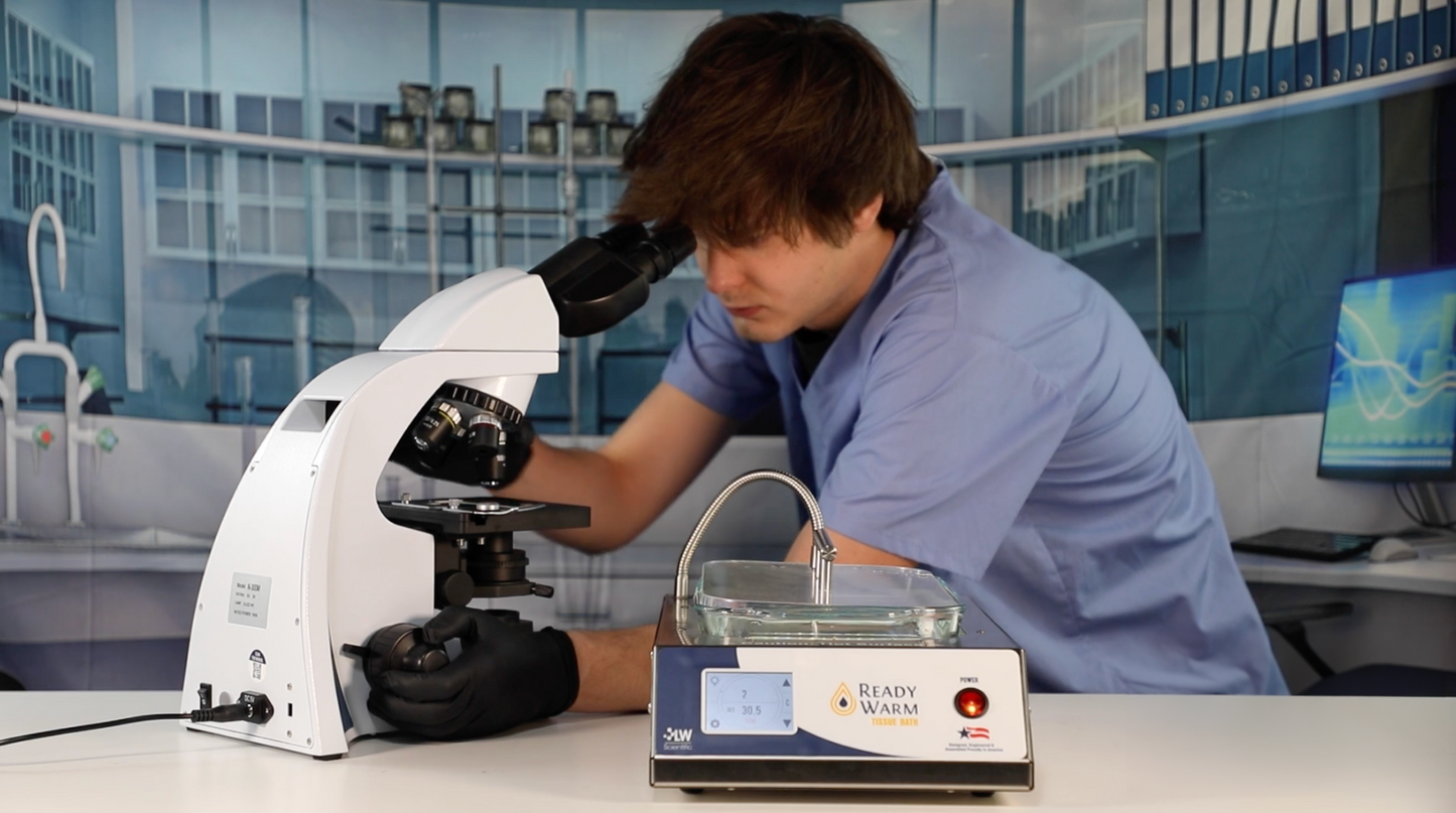 Ready Warm Tissue Flotation Bath – Smooth Sectioning for Histology Slides